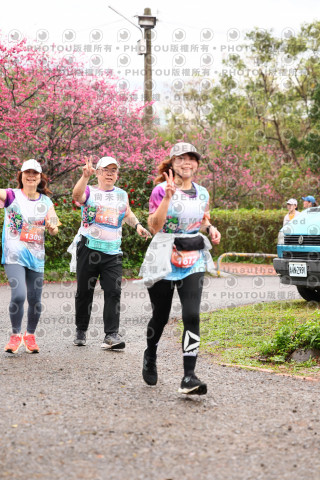 2026左岸竹東櫻花馬拉松Zhudong Sakura Marathon