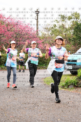 2026左岸竹東櫻花馬拉松Zhudong Sakura Marathon