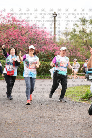 2026左岸竹東櫻花馬拉松Zhudong Sakura Marathon