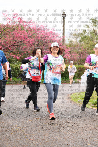 2026左岸竹東櫻花馬拉松Zhudong Sakura Marathon