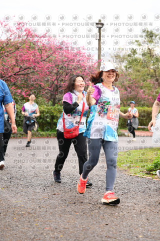 2026左岸竹東櫻花馬拉松Zhudong Sakura Marathon