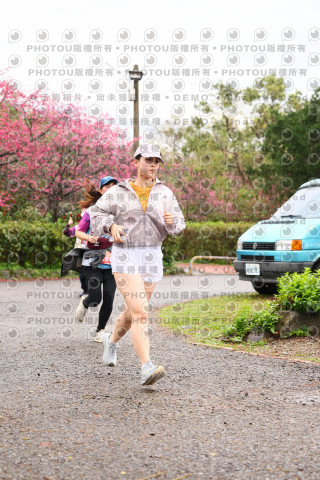 2026左岸竹東櫻花馬拉松Zhudong Sakura Marathon