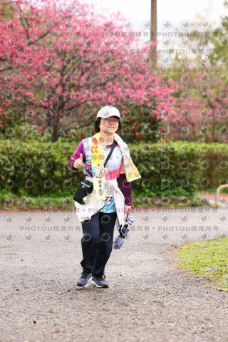 2026左岸竹東櫻花馬拉松Zhudong Sakura Marathon
