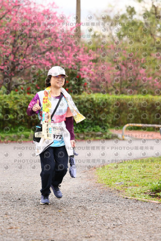 2026左岸竹東櫻花馬拉松Zhudong Sakura Marathon