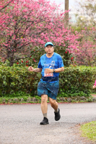 2026左岸竹東櫻花馬拉松Zhudong Sakura Marathon