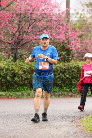 2026左岸竹東櫻花馬拉松Zhudong Sakura Marathon