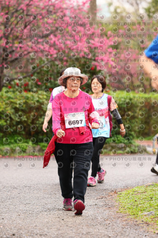 2026左岸竹東櫻花馬拉松Zhudong Sakura Marathon