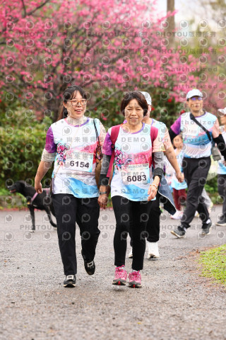 2026左岸竹東櫻花馬拉松Zhudong Sakura Marathon