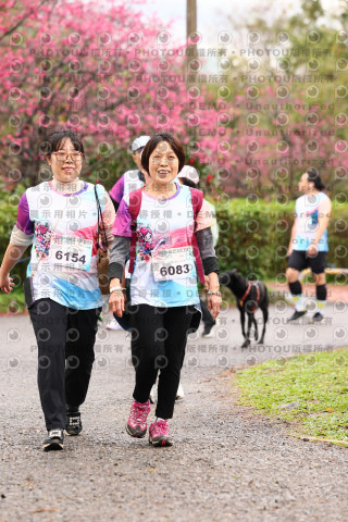 2026左岸竹東櫻花馬拉松Zhudong Sakura Marathon