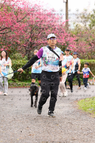 2026左岸竹東櫻花馬拉松Zhudong Sakura Marathon
