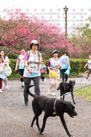 2026左岸竹東櫻花馬拉松Zhudong Sakura Marathon