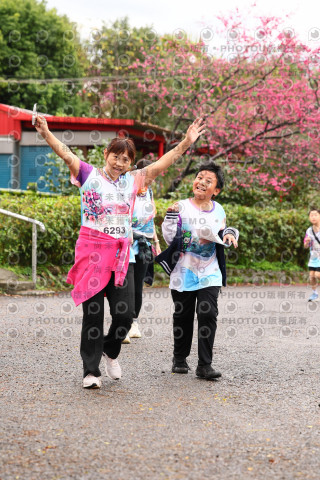 2026左岸竹東櫻花馬拉松Zhudong Sakura Marathon