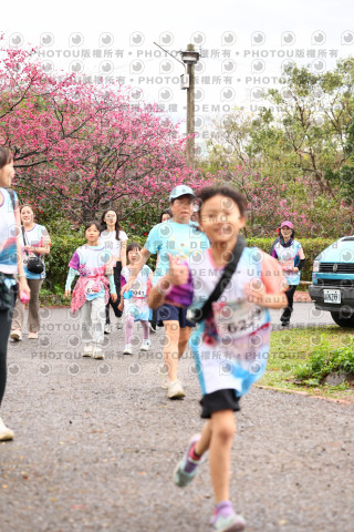 2026左岸竹東櫻花馬拉松Zhudong Sakura Marathon