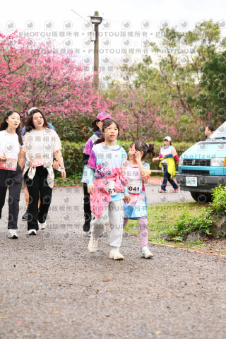 2026左岸竹東櫻花馬拉松Zhudong Sakura Marathon