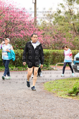 2026左岸竹東櫻花馬拉松Zhudong Sakura Marathon