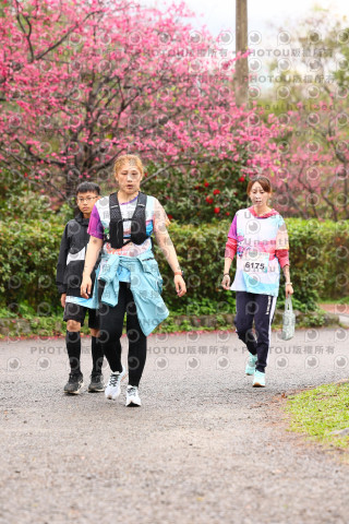 2026左岸竹東櫻花馬拉松Zhudong Sakura Marathon