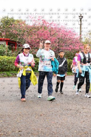 2026左岸竹東櫻花馬拉松Zhudong Sakura Marathon
