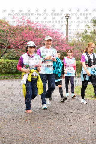 2026左岸竹東櫻花馬拉松Zhudong Sakura Marathon
