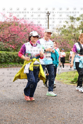 2026左岸竹東櫻花馬拉松Zhudong Sakura Marathon