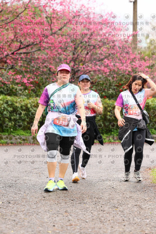 2026左岸竹東櫻花馬拉松Zhudong Sakura Marathon
