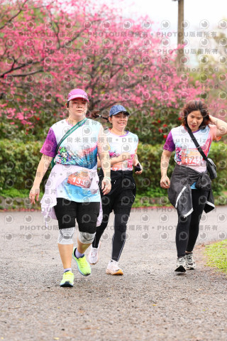 2026左岸竹東櫻花馬拉松Zhudong Sakura Marathon