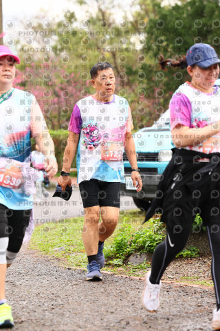 2026左岸竹東櫻花馬拉松Zhudong Sakura Marathon