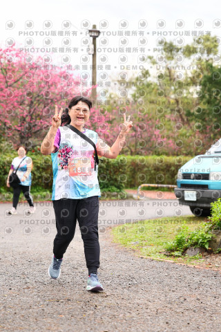 2026左岸竹東櫻花馬拉松Zhudong Sakura Marathon