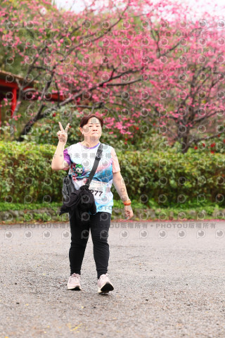 2026左岸竹東櫻花馬拉松Zhudong Sakura Marathon