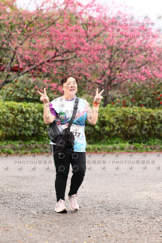2026左岸竹東櫻花馬拉松Zhudong Sakura Marathon