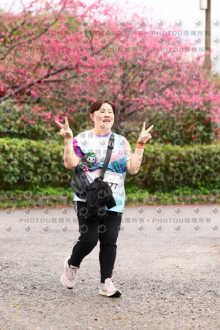 2026左岸竹東櫻花馬拉松Zhudong Sakura Marathon
