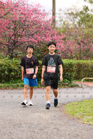 2026左岸竹東櫻花馬拉松Zhudong Sakura Marathon