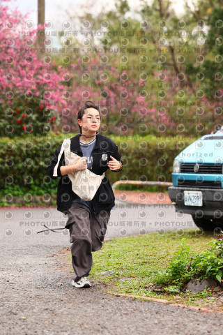 2026左岸竹東櫻花馬拉松Zhudong Sakura Marathon