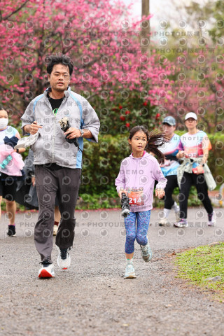 2026左岸竹東櫻花馬拉松Zhudong Sakura Marathon