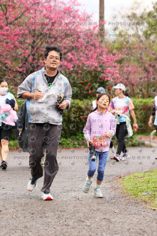2026左岸竹東櫻花馬拉松Zhudong Sakura Marathon