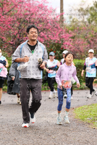 2026左岸竹東櫻花馬拉松Zhudong Sakura Marathon