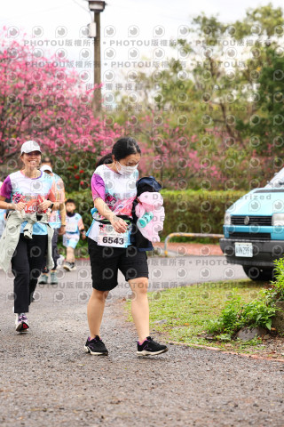 2026左岸竹東櫻花馬拉松Zhudong Sakura Marathon