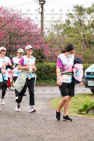 2026左岸竹東櫻花馬拉松Zhudong Sakura Marathon