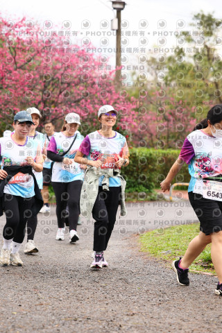2026左岸竹東櫻花馬拉松Zhudong Sakura Marathon