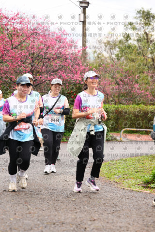 2026左岸竹東櫻花馬拉松Zhudong Sakura Marathon