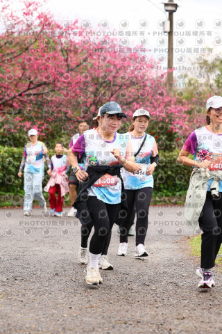 2026左岸竹東櫻花馬拉松Zhudong Sakura Marathon