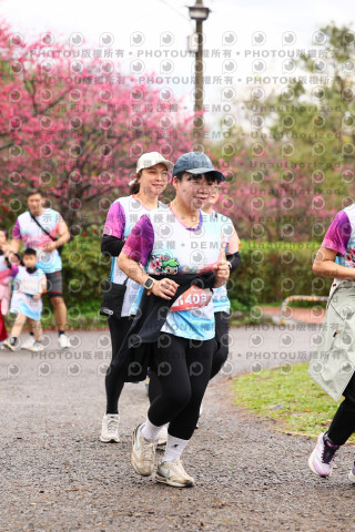 2026左岸竹東櫻花馬拉松Zhudong Sakura Marathon