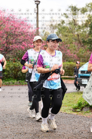 2026左岸竹東櫻花馬拉松Zhudong Sakura Marathon