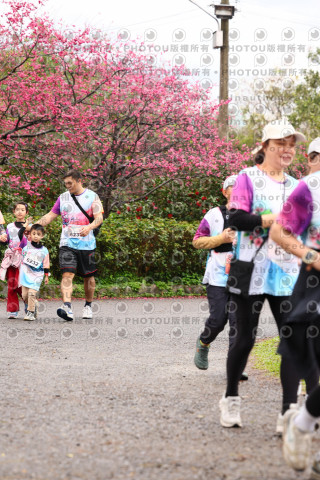 2026左岸竹東櫻花馬拉松Zhudong Sakura Marathon