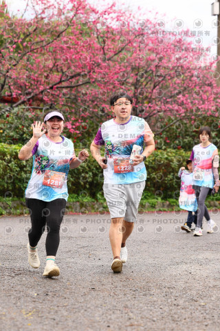 2026左岸竹東櫻花馬拉松Zhudong Sakura Marathon