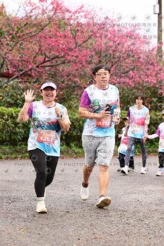 2026左岸竹東櫻花馬拉松Zhudong Sakura Marathon