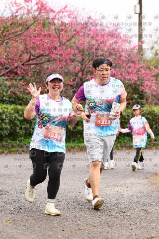 2026左岸竹東櫻花馬拉松Zhudong Sakura Marathon