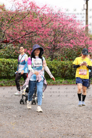 2026左岸竹東櫻花馬拉松Zhudong Sakura Marathon