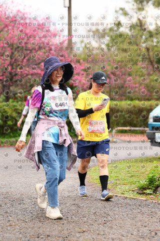2026左岸竹東櫻花馬拉松Zhudong Sakura Marathon