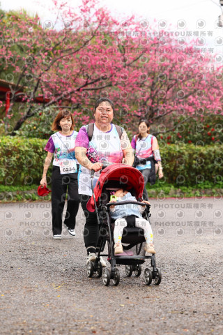 2026左岸竹東櫻花馬拉松Zhudong Sakura Marathon