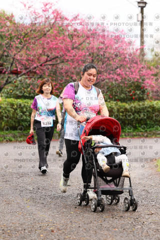 2026左岸竹東櫻花馬拉松Zhudong Sakura Marathon